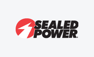 SEALED POWER E234K20 Engine Piston Ring Set 