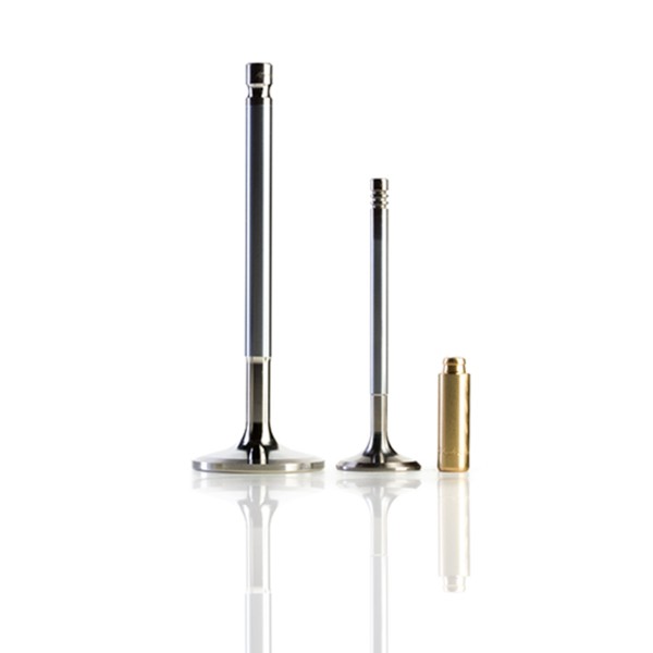 AE Valves & Valve Guides