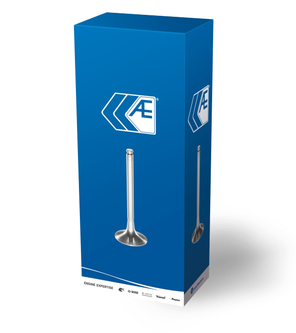 AE Valves