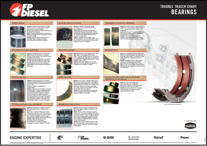 TTC Bearings