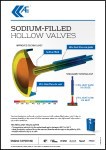 Sodium Filled Hollow Valves
