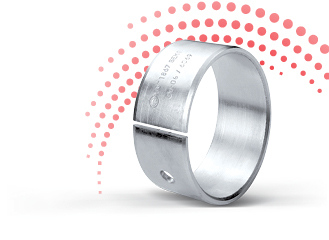 Glyco Cam Bearings