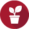 Plant-Icon