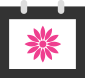 May-Flower-Icon
