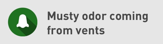 Musty-Odor-Coming-From-Vents-Icon
